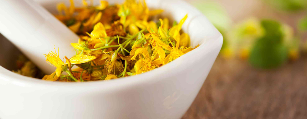 انواع گیاهان دارویی ضد افسردگی